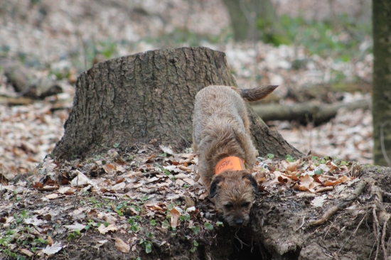 nieco tam citim,idem to pozriet...ok;-)