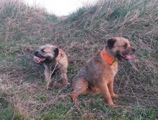 ktora ho ma vacsi:-D!?