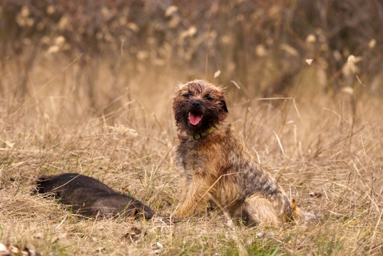 po narocnom a vycvikovom dni