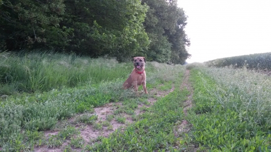 krasne ale studene rano