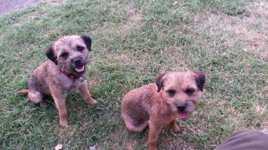 pohlady ktore nam tak rad...