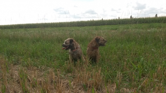 na ktoru stranu to utekalo??!