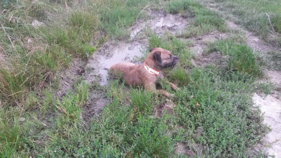 treba schladit motor