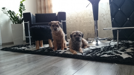 opäť krásny výkon.....