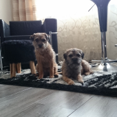 opäť krásny výkon.....