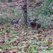 moje pucmolky