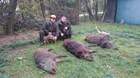 opäť nás nesklamali....