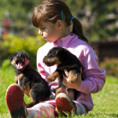 budúca kynologicka