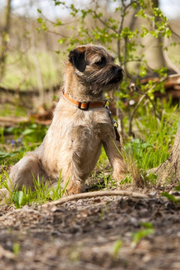 Arwen od simku 21 mesiacov...