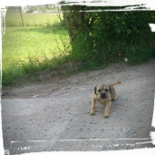 Kosatka;)