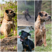 Moja lovecka zostava