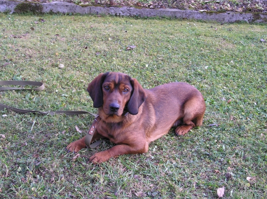 Duričske skúšky   1.cena