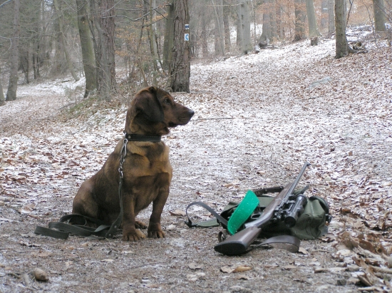 CIBA z Bôrickej cesty