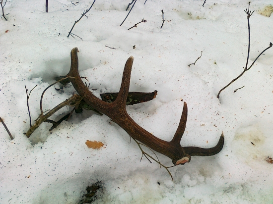 moj prvy v tomto roku-2,5kg