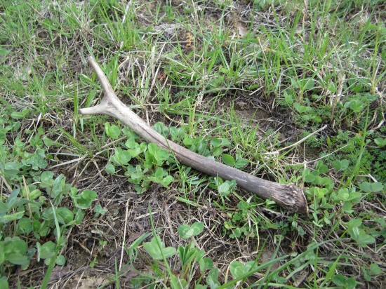 do tretice vsetko dobre