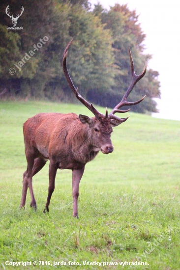 Vdaždi.