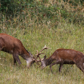 Príprava do života.