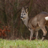 Počasie je zatiaľ milostivé