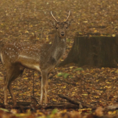 Každý raz začína.