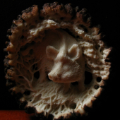 mladoi divocak