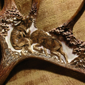 Suboi (v detailech)