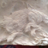 process