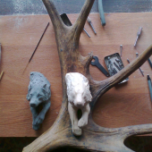 process