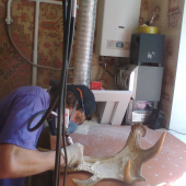 process