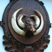 Medailon Divocak