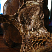 Divocak