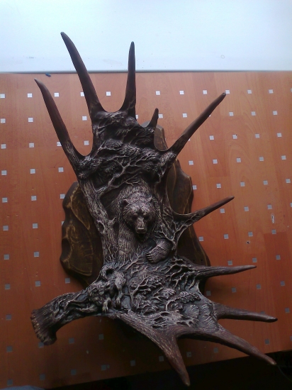 medved a laika process