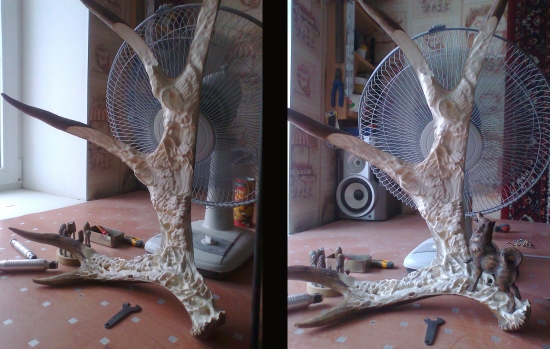 Process Tetřev hlušec a husky