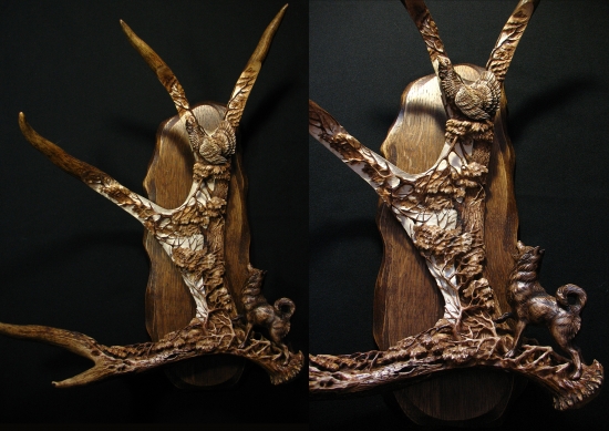 Tetřev hlušec a husky