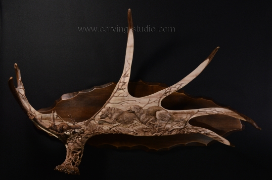 Ruský lov: líška a psy