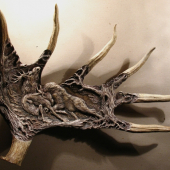 Elk boj