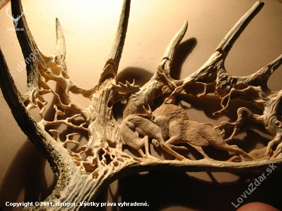 Elk boj