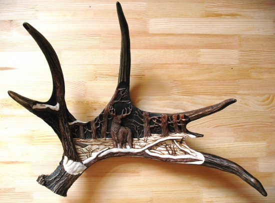 Mladý jelen v zimě lese