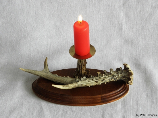 moje práce - svícen (srnčí shoz)