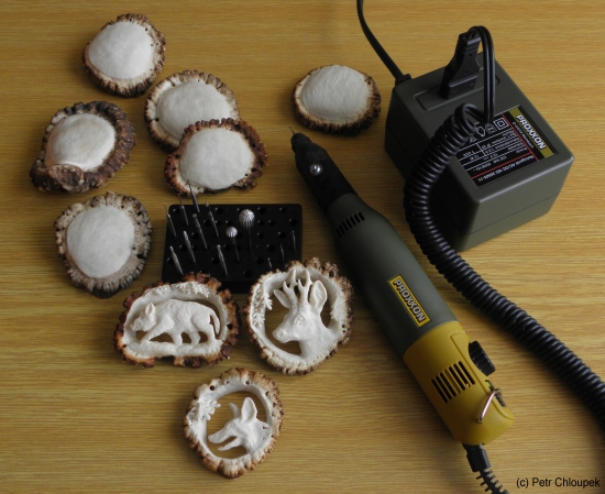 prezentace mé práce