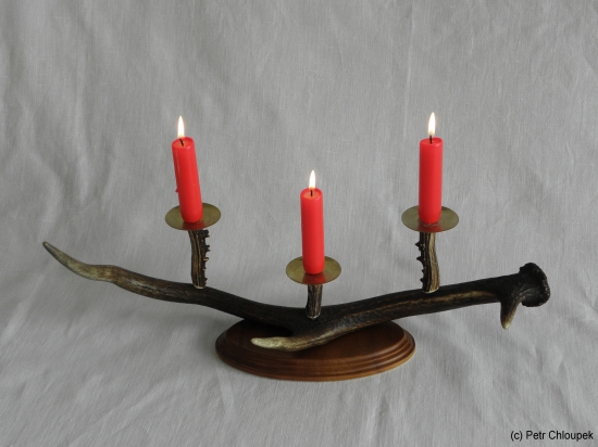 moje práce - svícen (jelení shoz)