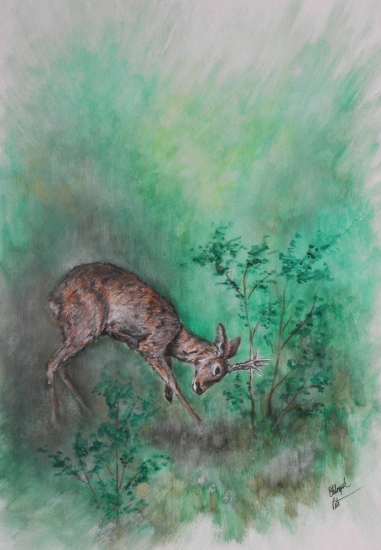 moje práce - srnec vytloukající parůžky