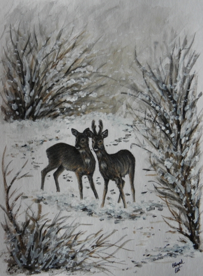 Moje práce - srnec a srna