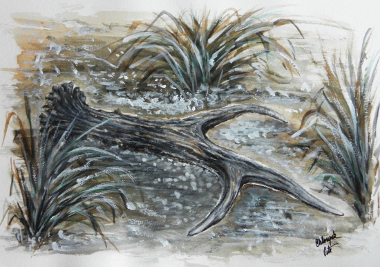 Moje práce - srnčí shoz