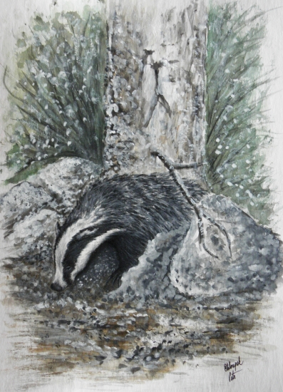 Moje práce - jezevec