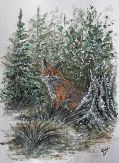 Moje práce - liška