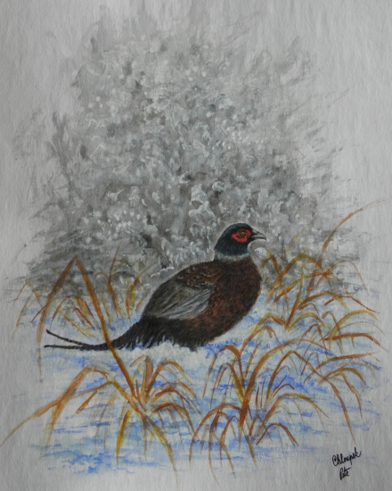 Moje práce - bažant