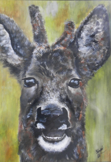 Moje práce - srnec v lýčí