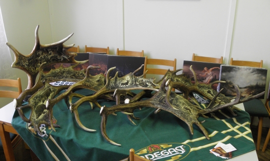 Rytiny do daňčích a losích lopat pana Carpina