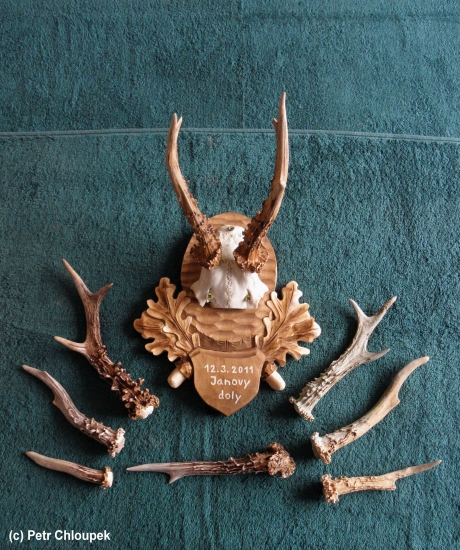 Moje nálezy za březen 2011