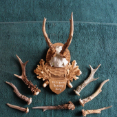 Moje nálezy za březen 2011